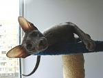     
: bebikd26.jpg
: 3
:	80.4 
ID:	5774328