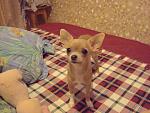     
: DSC02066.JPG
: 8
:	131.1 
ID:	5776537