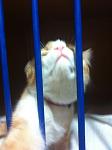     
: image.jpg
: 3
:	63.9 
ID:	5777690