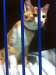     
: image.jpg
: 3
:	74.3 
ID:	5777698