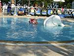     
: DSC04285.JPG
: 4
:	193.1 
ID:	5778368