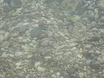     
: DSC04173.JPG
: 5
:	157.5 
ID:	5778377