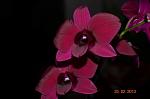     
: DSC_0156.JPG
: 6
:	83.3 
ID:	5778877