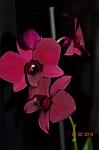     
: DSC_0157.JPG
: 10
:	174.7 
ID:	5778878