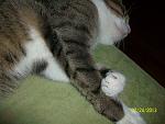     
: 100_3474.jpg
: 2
:	178.1 
ID:	5780928