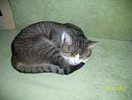     
: 100_3488.jpg
: 3
:	172.5 
ID:	5780929