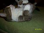     
: 100_3471.jpg
: 1
:	141.4 
ID:	5780934