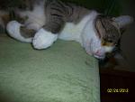     
: 100_3472.jpg
: 3
:	144.9 
ID:	5780937