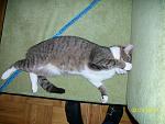     
: 100_3461.jpg
: 3
:	164.5 
ID:	5780940