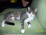     
: 100_3463.jpg
: 3
:	181.2 
ID:	5780941