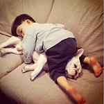     
: buldog-malchik-kartinki-koshki-sobaki-smeshnye-zhivotnye-kote_5265343032.jpg
: 2
:	139.1 
ID:	5793263