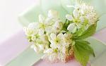     
: DesktopMania_ru-4903-300x187.jpg
: 8
:	10.3 
ID:	5796233