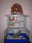     
: P3010107.jpg
: 10
:	119.3 
ID:	5799035