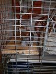     
: P3010106.jpg
: 6
:	122.2 
ID:	5799040