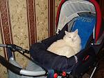     
: DSC07517.jpg
: 51
:	161.9 
ID:	579915