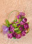     
: DSC_0004.jpg
: 8
:	117.6 
ID:	5799463