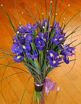     
: DSC_002.jpg
: 4
:	110.0 
ID:	5799498