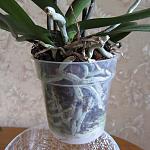     
: IMG_1650.jpg
: 11
:	104.7 
ID:	5801999