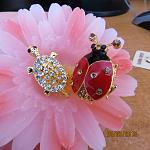    
: IMG_2233.jpg
: 39
:	98.4 
ID:	5809079