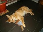     
: DSC09843.jpg
: 7
:	75.0 
ID:	5811194