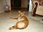     
: DSC09765.jpg
: 7
:	111.0 
ID:	5811201