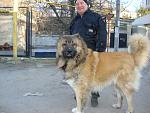     
: DSC03010.JPG
: 24
:	131.7 
ID:	5811943
