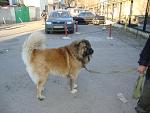     
: DSC03007.JPG
: 14
:	130.9 
ID:	5811944
