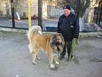     
: DSC03003.JPG
: 15
:	136.2 
ID:	5811945