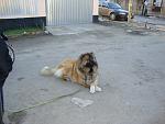     
: DSC03000.JPG
: 15
:	135.8 
ID:	5811946