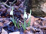     
: IMG_0557.jpg
: 13
:	152.5 
ID:	5812402
