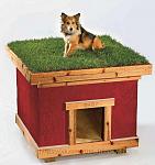     
: The_Dog_Friendly_Home_O3.jpg
: 29
:	96.4 
ID:	5816073