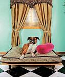     
: The_Dog_Friendly_Home_O4ф.jpg
: 28
:	187.6 
ID:	5816082