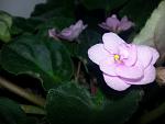     
: 20121107_155636.jpg
: 2
:	92.8 
ID:	5816300