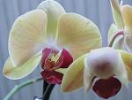     
: 6ULlWMWstSQ.jpg
: 32
:	147.7 
ID:	5816618