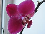     
: XARyBoc9oCk.jpg
: 21
:	117.4 
ID:	5816628