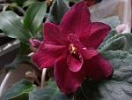     
: 20121023_171331.jpg
: 3
:	129.6 
ID:	5817252