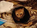     
: DSC07129.jpg
: 22
:	121.0 
ID:	581783