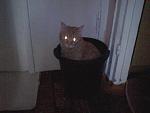     
: SP_A6898.jpg
: 27
:	122.6 
ID:	581785