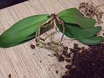     
: DSCF1303.jpg
: 11
:	193.2 
ID:	5818720