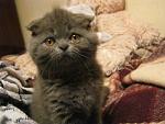     
: 6u34 117.jpg
: 41
:	105.1 
ID:	5820764