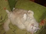     
: DSC08774.jpg
: 37
:	82.6 
ID:	582133