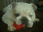     
: 04112012964.jpeg
: 9
:	98.6 
ID:	5822077