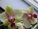     
: IMG_1298.jpg
: 14
:	100.3 
ID:	5824166