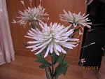     
: IMG_7156.jpg
: 14
:	123.7 
ID:	5824499