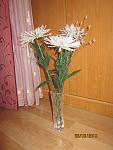     
: IMG_7166.jpg
: 9
:	102.2 
ID:	5824533