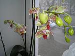     
: P3050021.jpg
: 4
:	92.9 
ID:	5825428