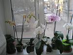     
: P3050022.jpg
: 8
:	105.0 
ID:	5825429