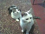     
: OmSiMNeXBPg.jpg
: 19
:	82.8 
ID:	5825522