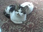     
: JUn5Syz6Ipc.jpg
: 13
:	73.4 
ID:	5825523