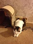     
: у лиды2.jpg
: 8
:	164.7 
ID:	5826093